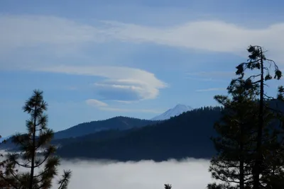 DSC_3159 (Large).JPG